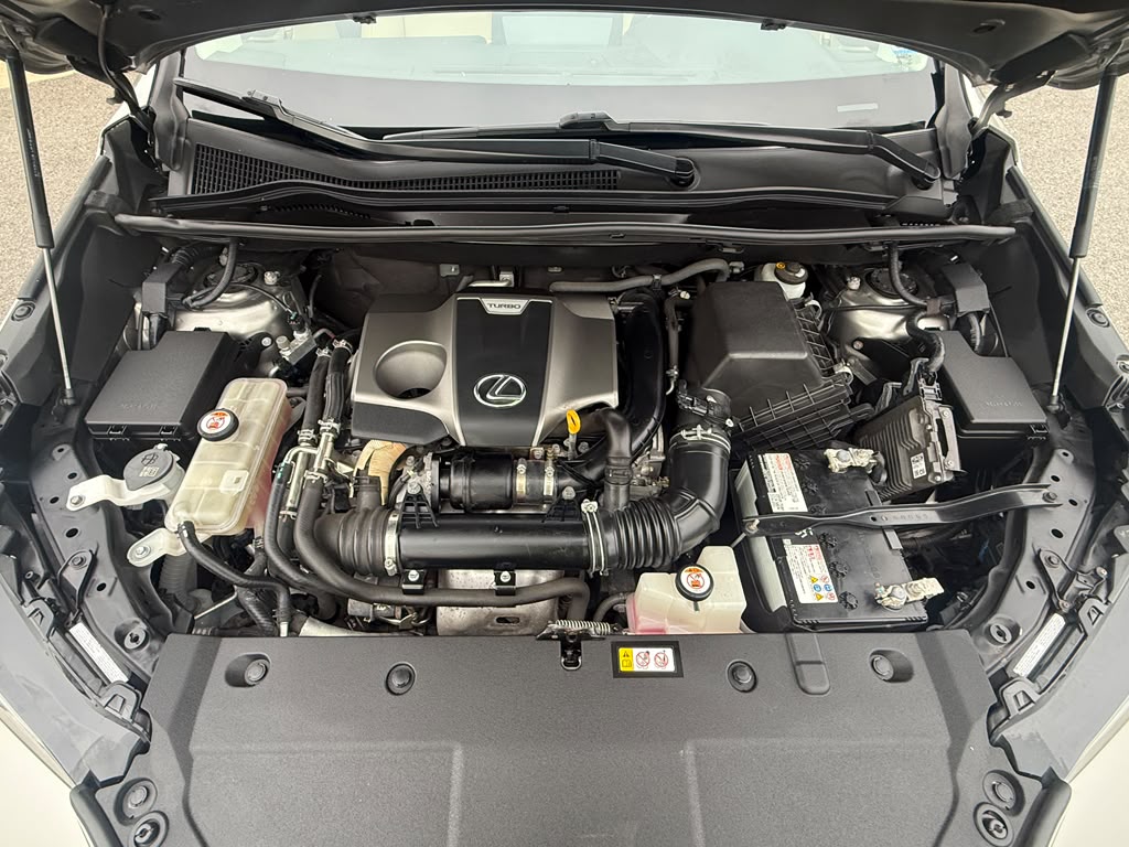 
								LEXUS NX NX 300 – 2020 full									